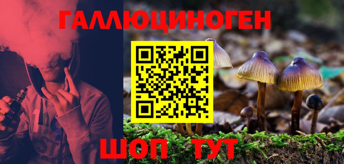Псилоцибиновые грибы прущие грибы  Псилоцибиновые грибы Psilocybine cubensis  цена   Ярославль  Вход с VPN 